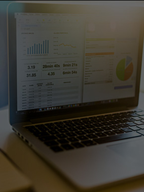 定制系统开发与维护服务